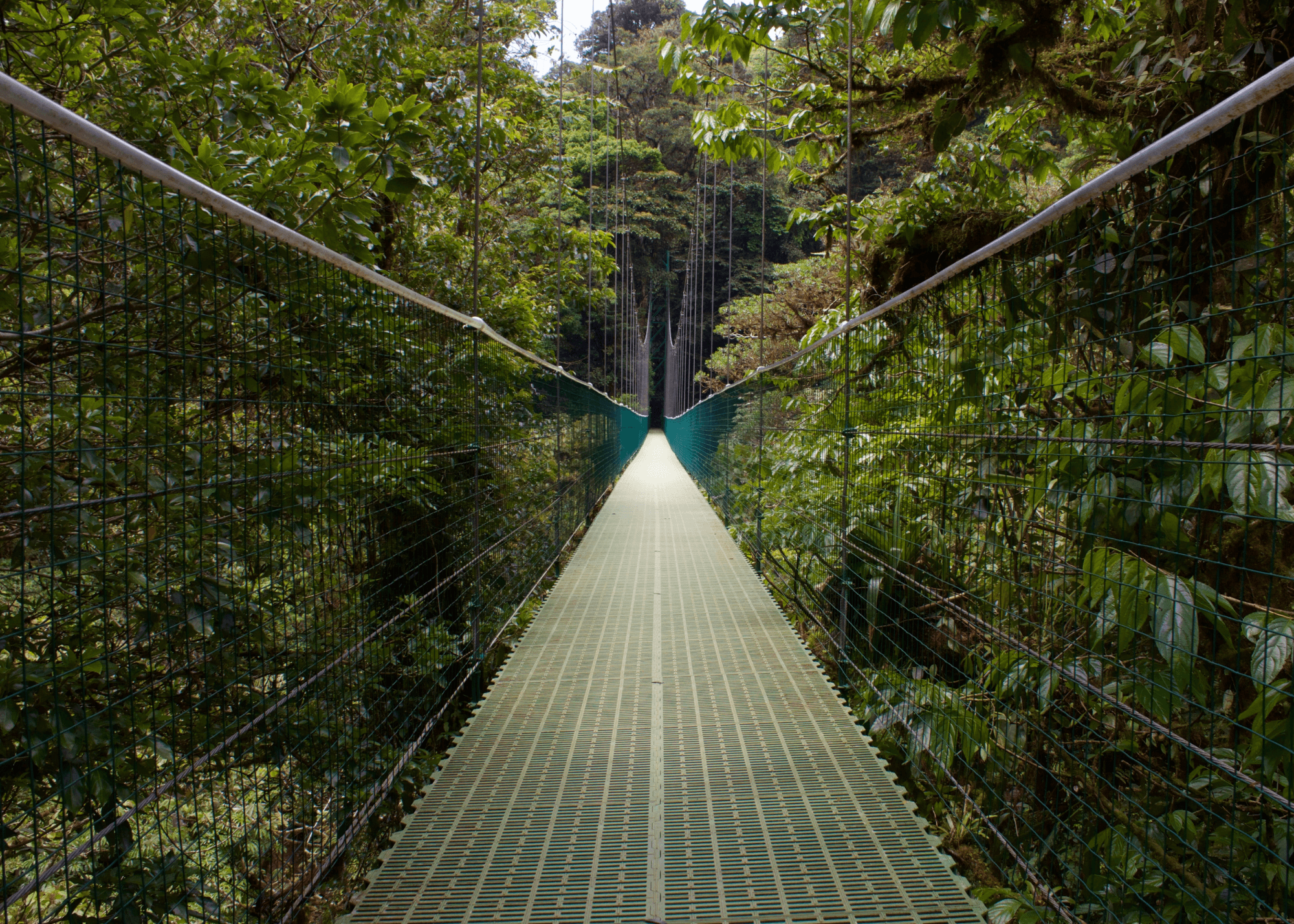 How do I work with Four Stories Travel?